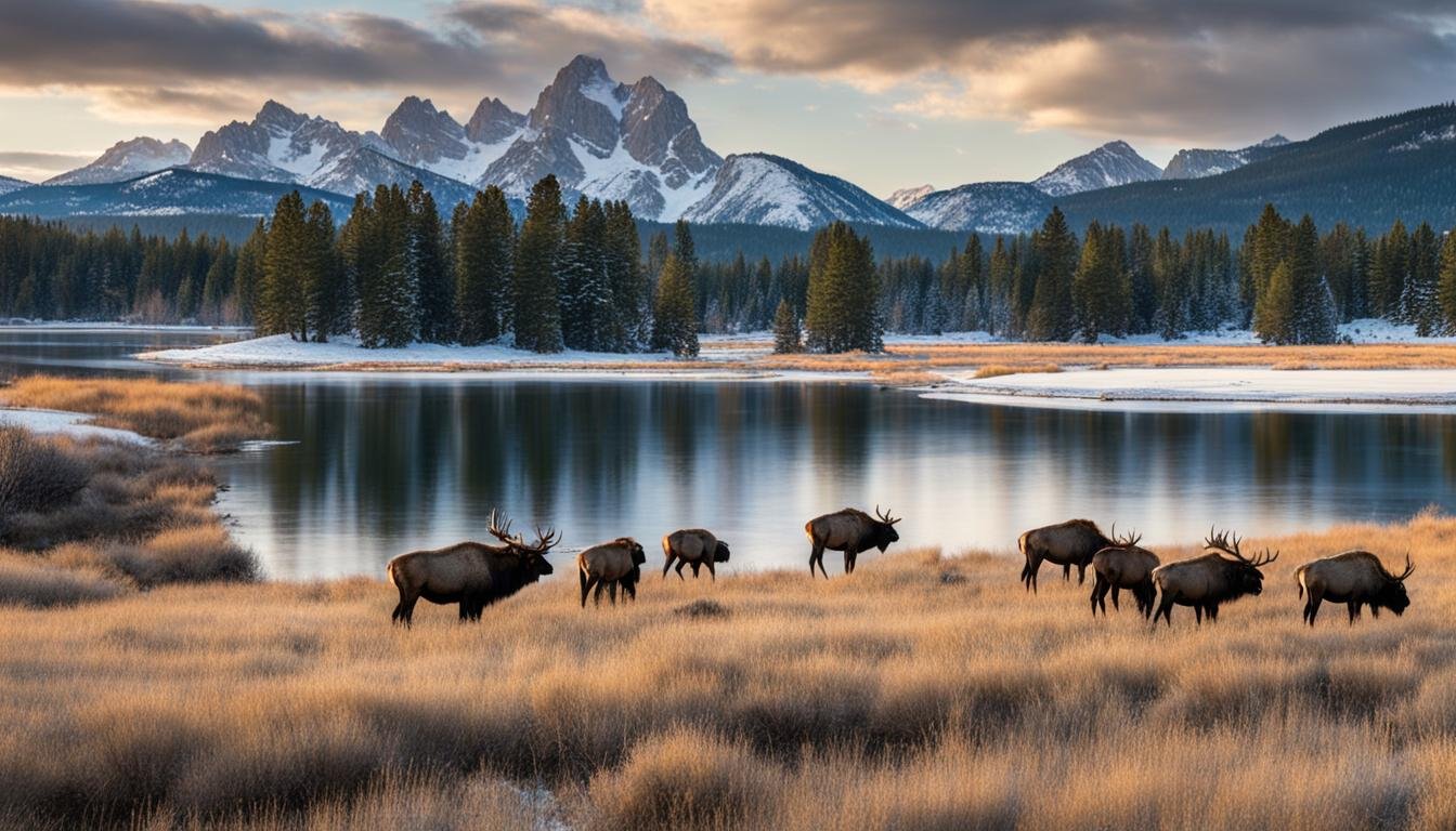 Does it snow in Wyoming