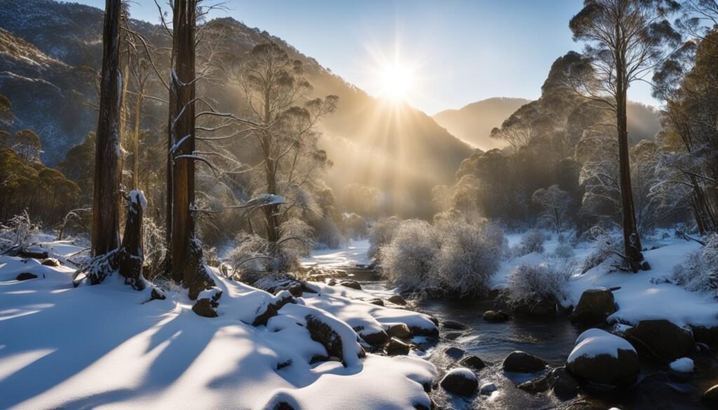 Snowfall in Tasmania