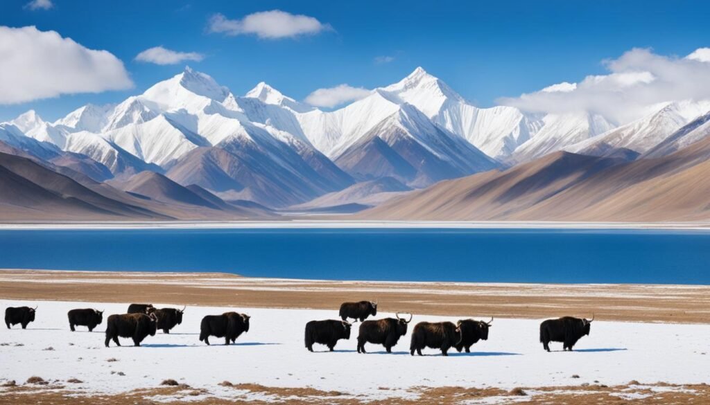 winter in Tibet